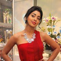 Shriya Saran at Wings of Fantasy Launch - Pictures | Picture 109861